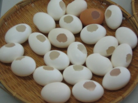 【画像】たくさんの卵の殻