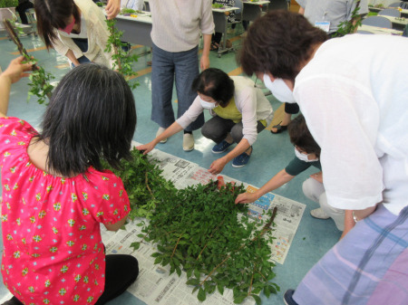 【画像】土台になる「ニシキギ」を選びます。少しずつ順番に集まって選びます。