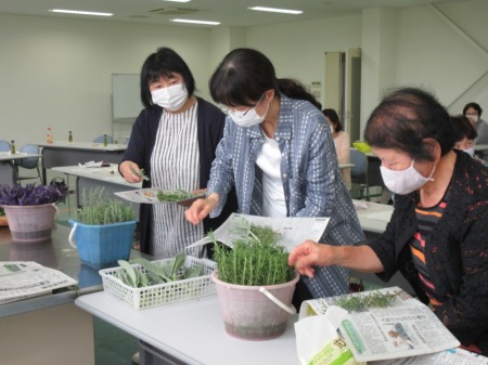 【画像】次にタッジーマッジーの材料です。