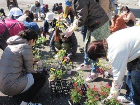 【画像】さあ いよいよ花選び！今日は２種類の花を植えこみます。